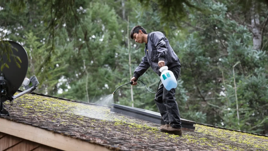how to remove moss from roof kapiti