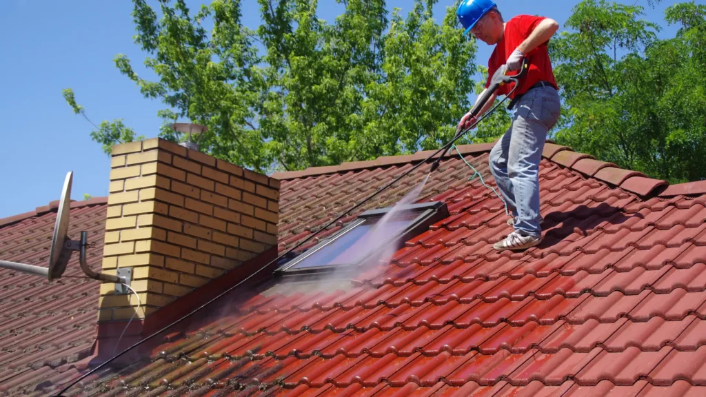 how to remove moss from roof kapiti (4)