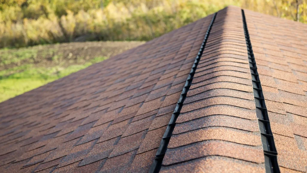 roof types kapiti (11)